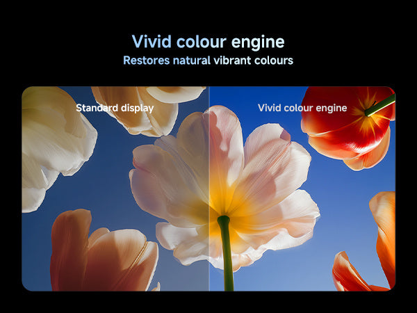 Xiaomi TV S Mini LED 98 Inch 2026