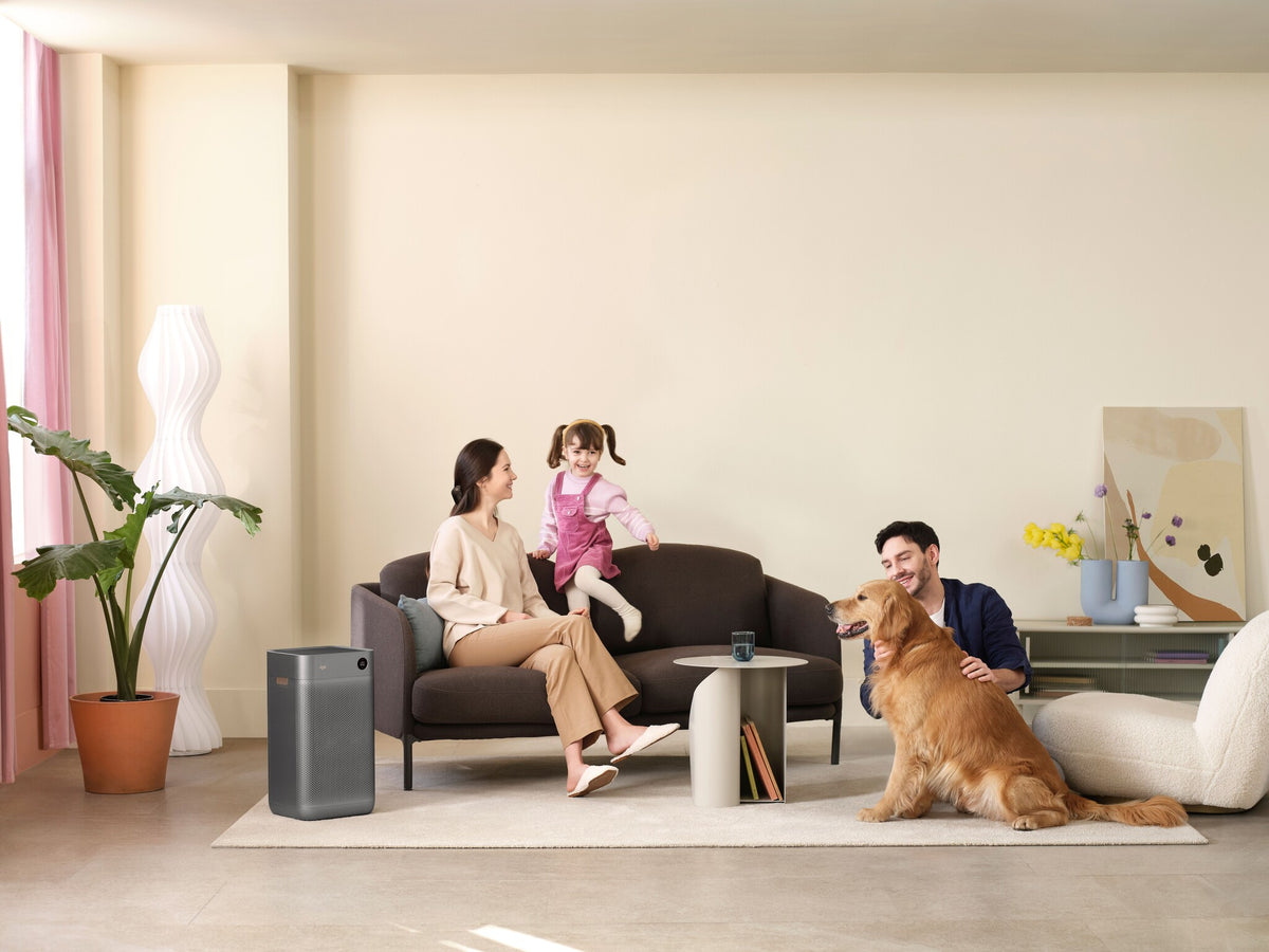 Xiaomi Smartmi Jya Fjord Air Purifier